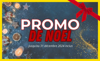 Promo de Noël 2024 : 10% de remise sur toutes les pièces en stock ! 